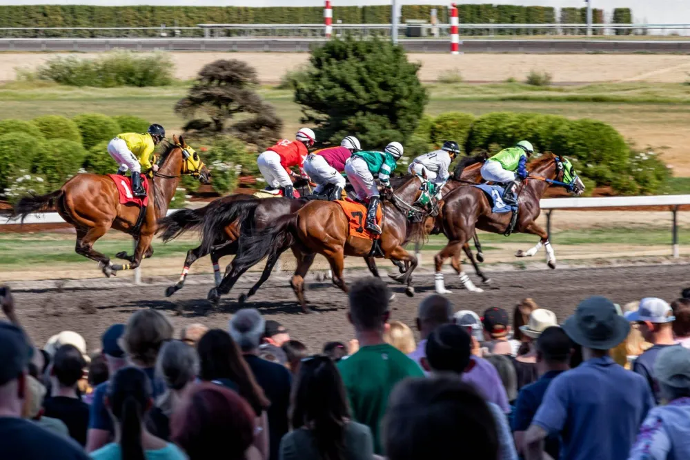 Cheltenham Race Chauffeur Service | Luxury Car Hire Cheltenham
