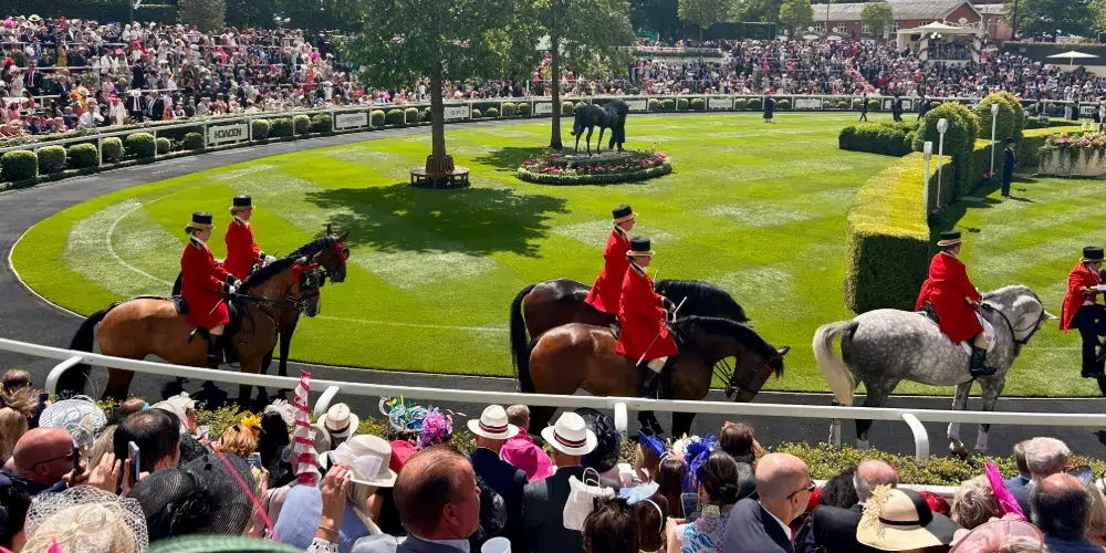 Ascot Events