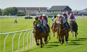 The Showcase at Cheltenham 2026: Your Complete Travel and Chauffeur Guide