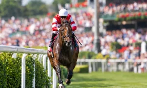 Cheltenham Racecourse Events