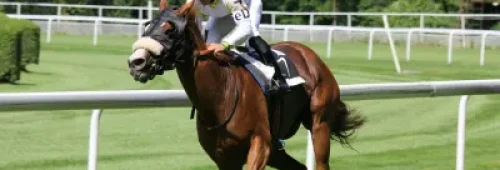 Cheltenham Races