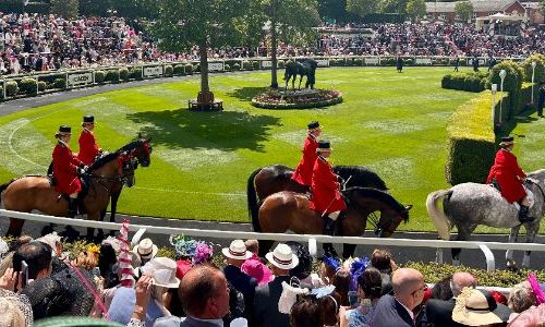 Royal Ascot Events chauffeur service