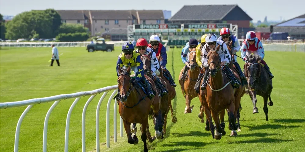 chauffeur service Cheltenham Showcase 2026